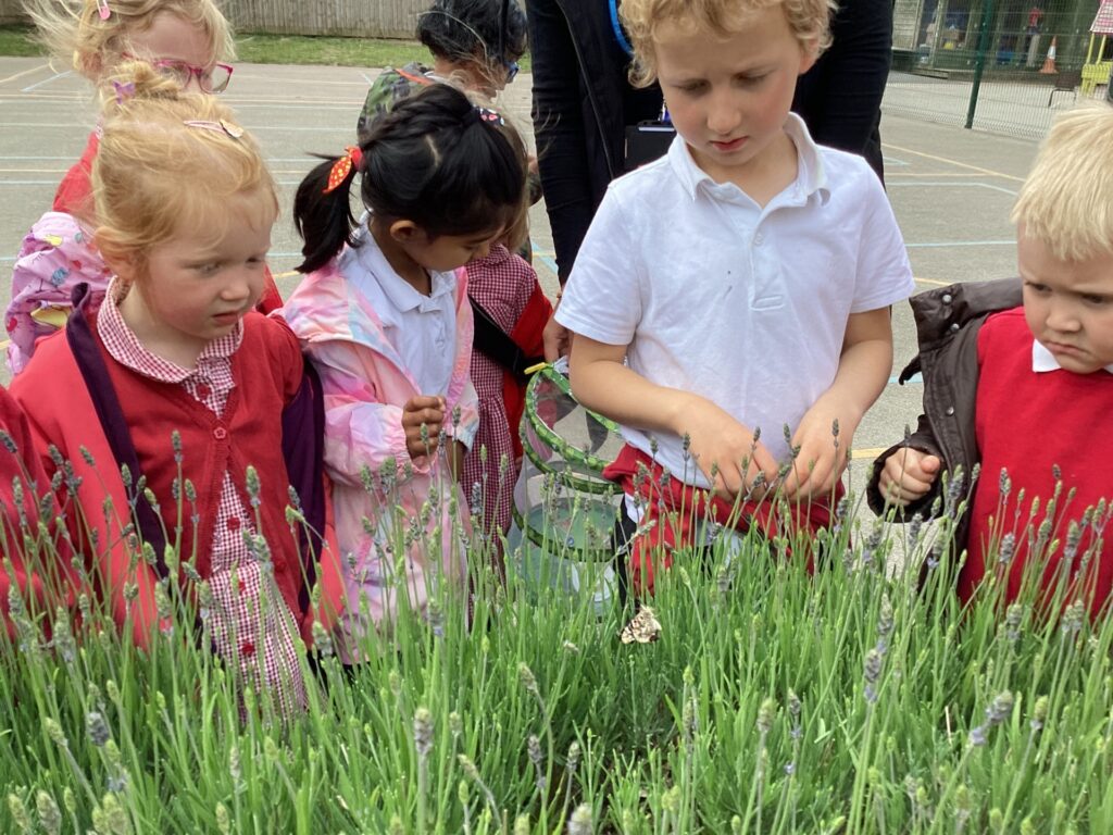 Reception class Butterfly Release